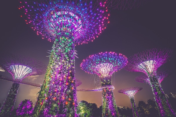 gardens by the bay in singapore