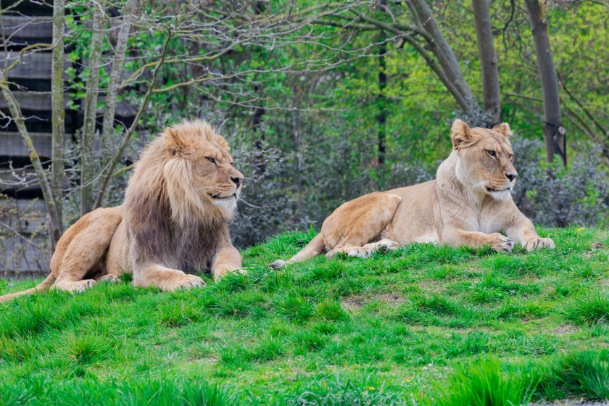 Mudumalai Wildlife Sanctuary