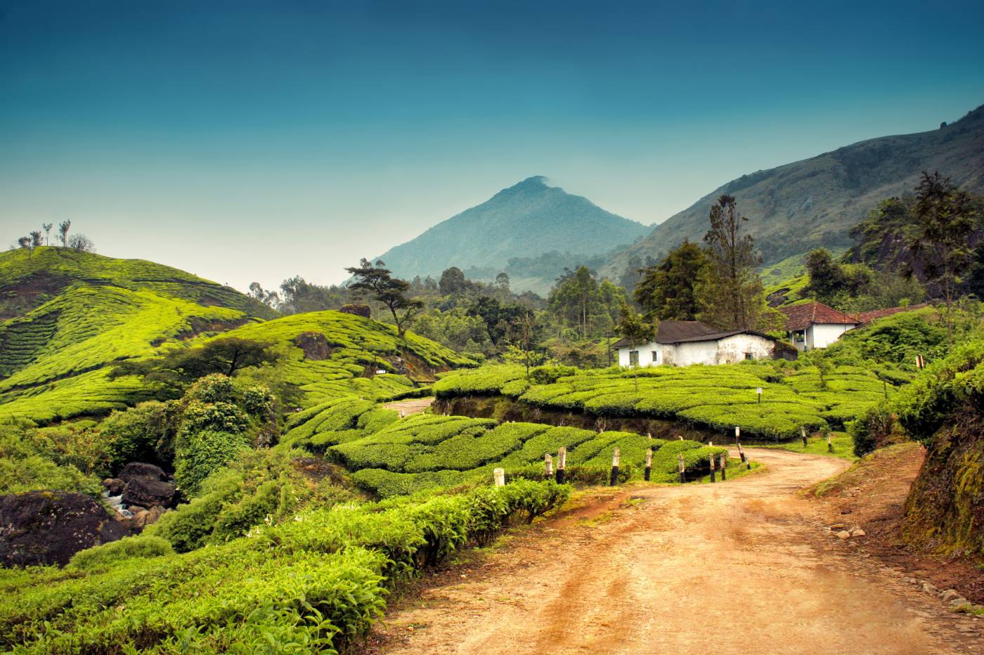 munnar group tour packages