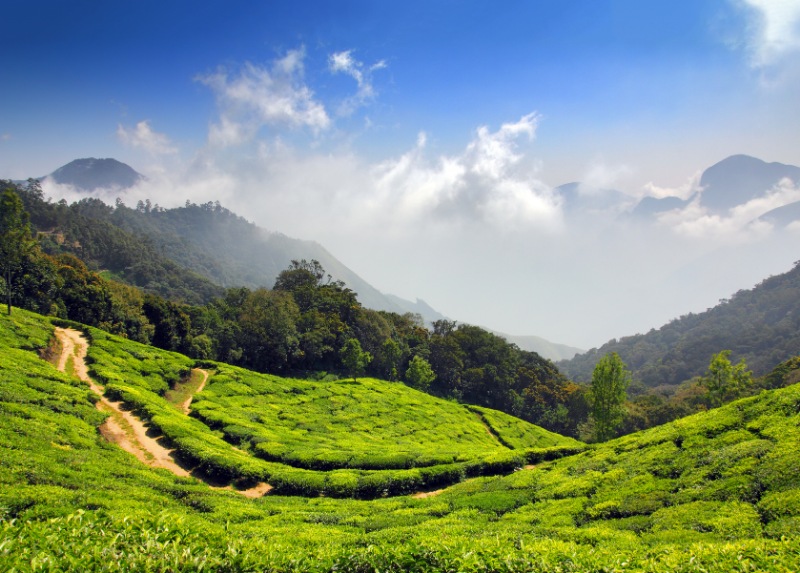 Munnar Houseboat Tour Packages